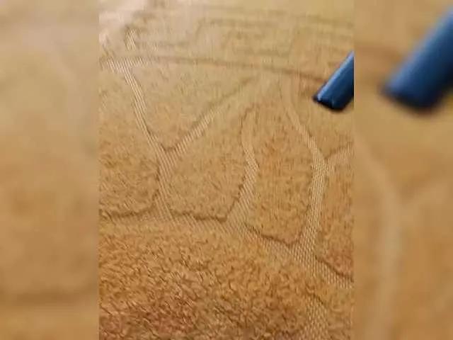 RosFair from BongaCams