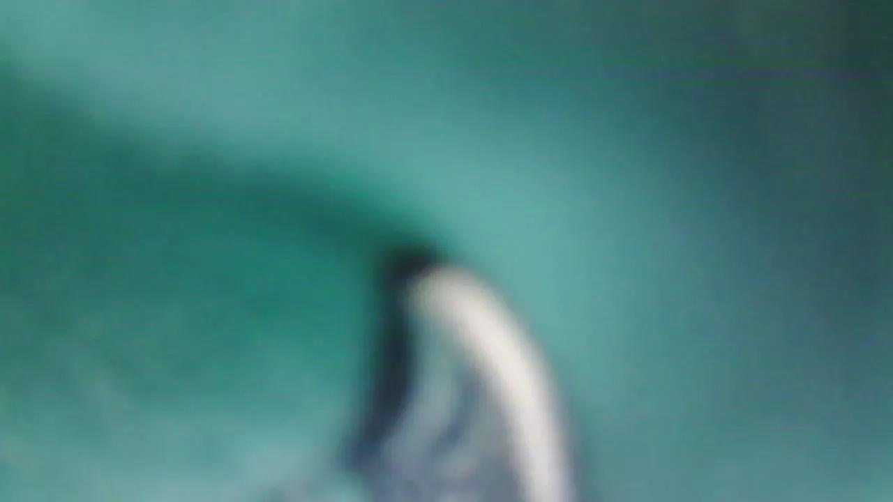 Chicacomepollas on Cam4 