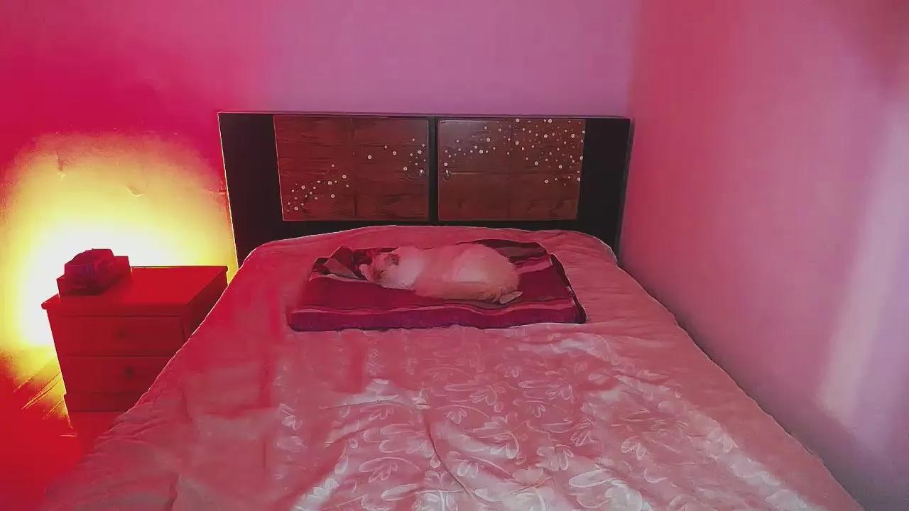 Offline emerald00_ on Cam4