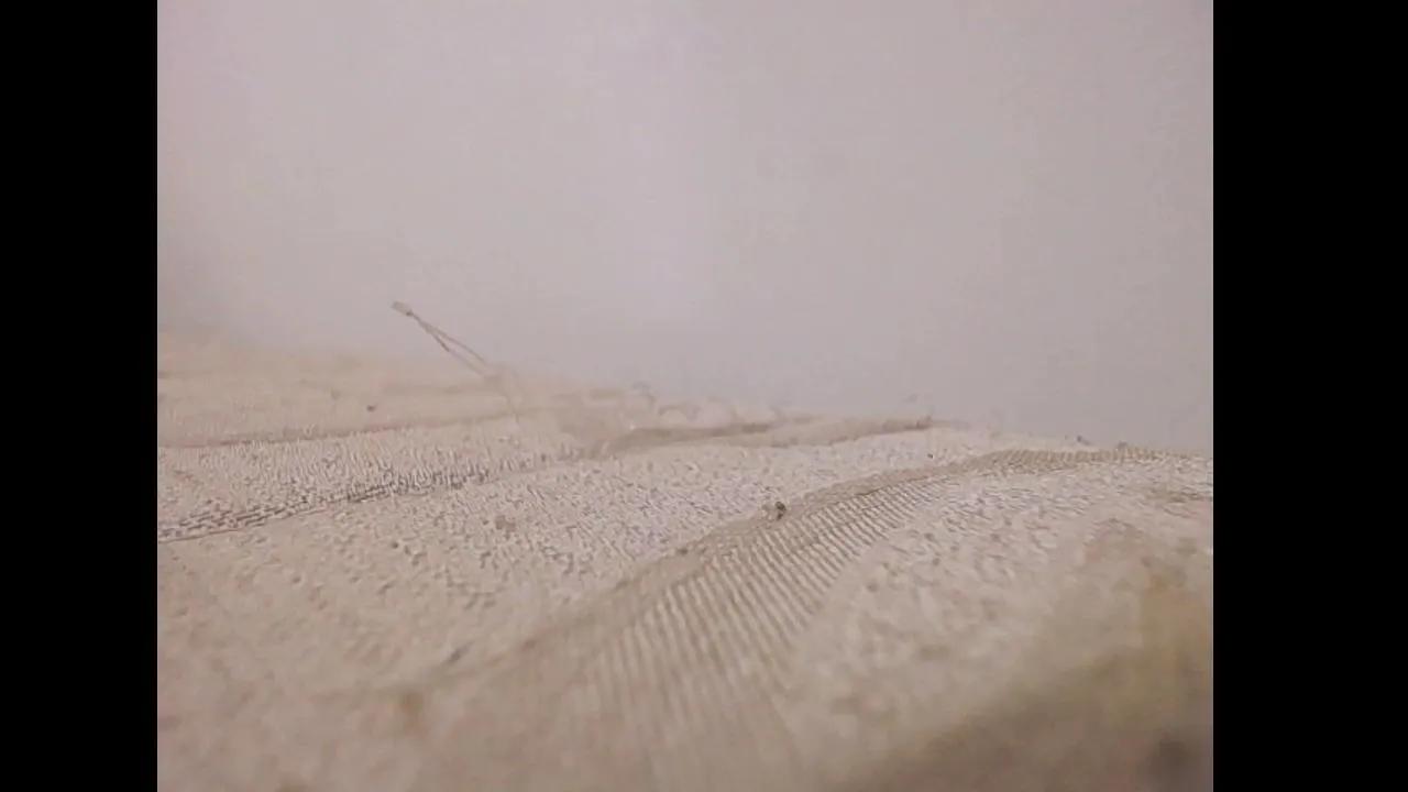 Offline emerald00_ on Cam4