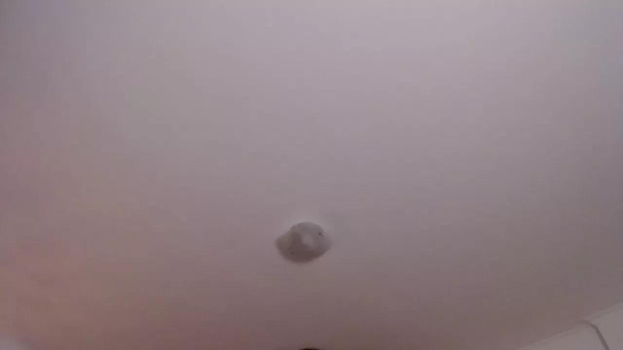 lulumei on Cam4 