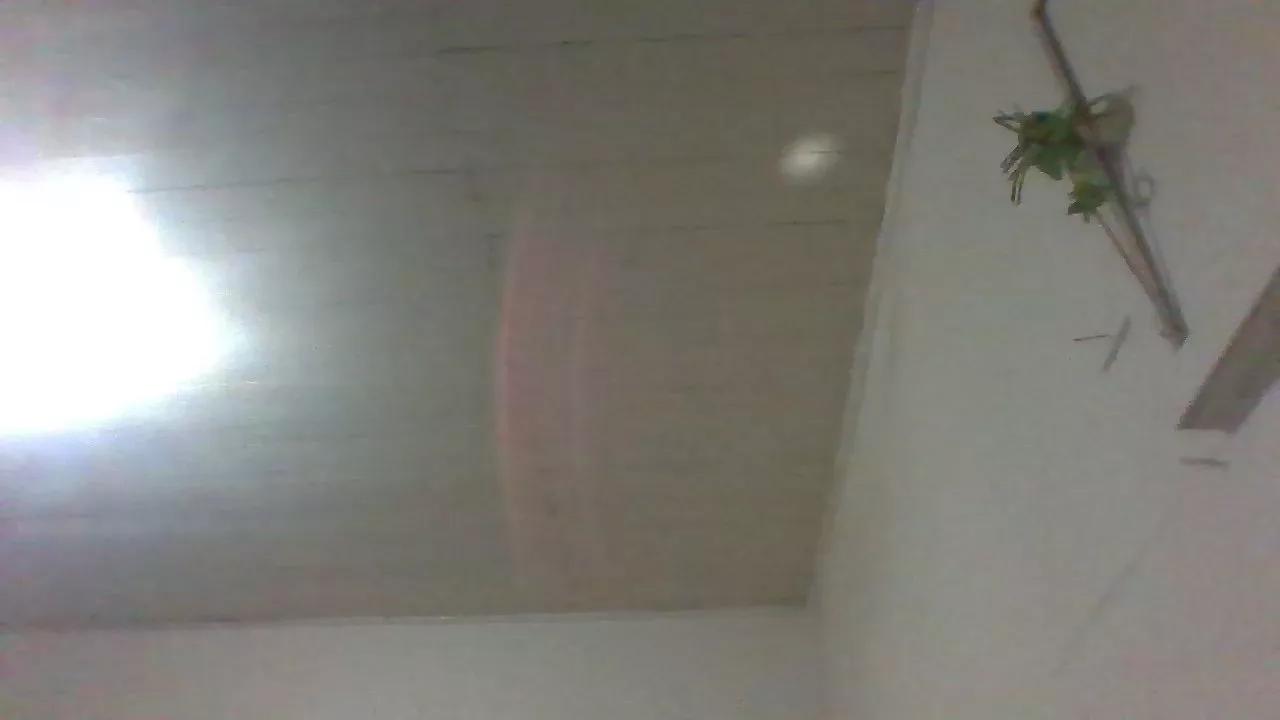 petacaconjugo on Cam4 