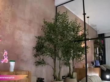 serene_sophiex on Chaturbate 