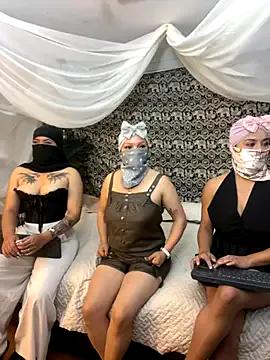 TheHarem on StripChat 