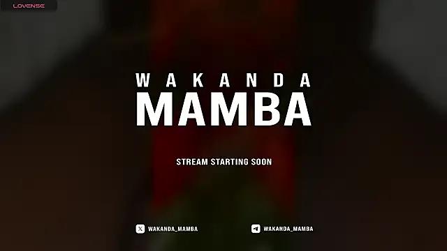 Wakanda_Mamba on StripChat 